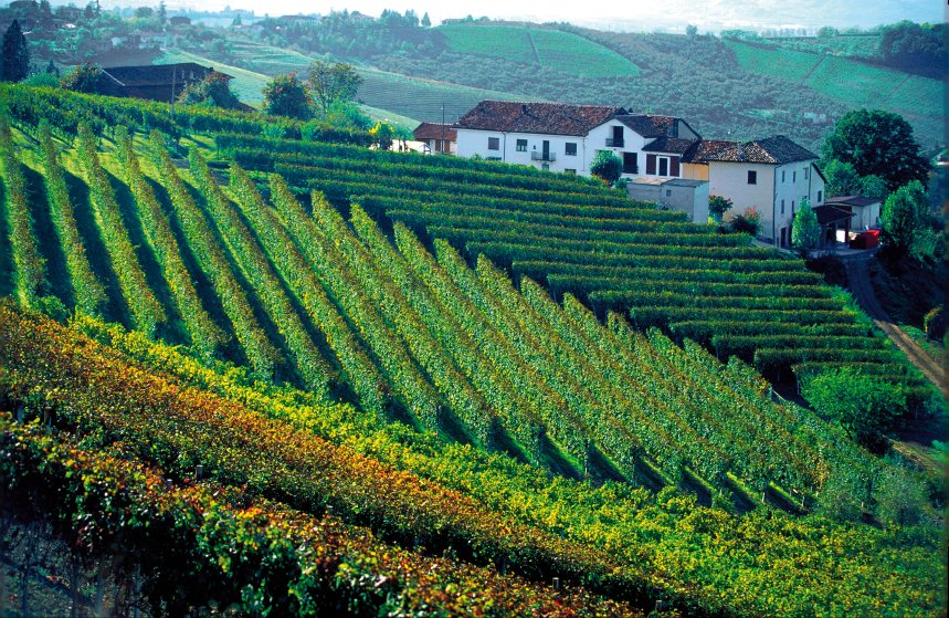 Piedmont - The Birth of Italy and the French Influence