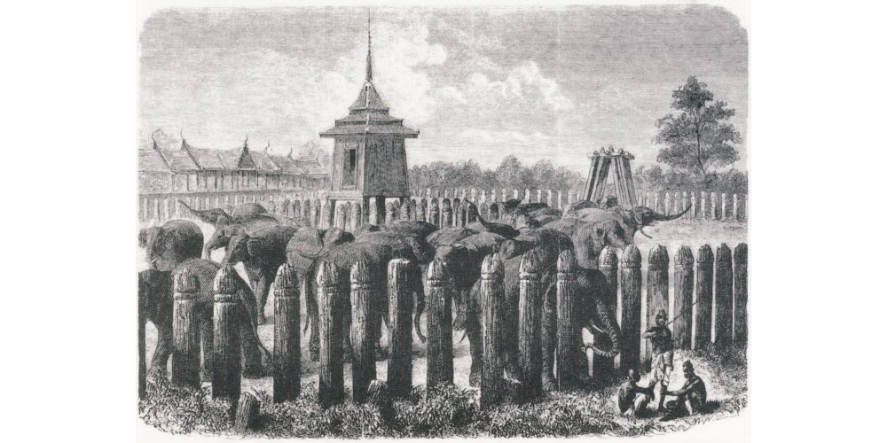 Henri Mouhot, le naturaliste qui a redécouvert Angkor | Est Républicain