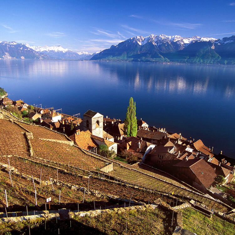 Lavaux, vignoble en terrasses (unesco)