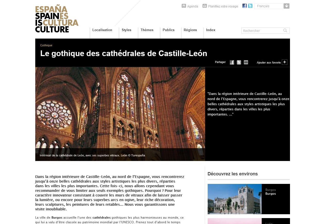 Le gothique des cathédrales de Castille-León | Espana es cultura